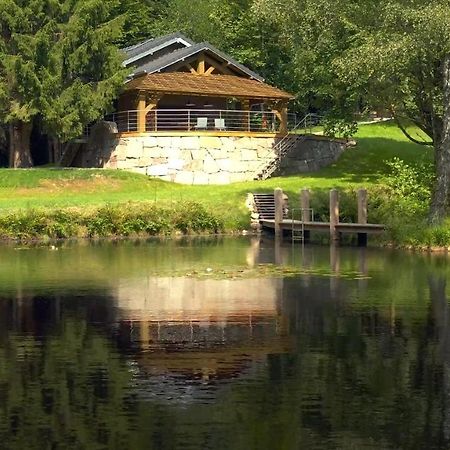 Вилла L'Ilet Aux 2 Etangs Saint-Nabord Экстерьер фото
