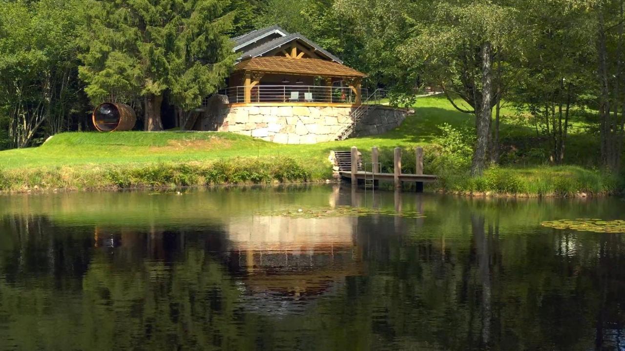 Вилла L'Ilet Aux 2 Etangs Saint-Nabord Экстерьер фото